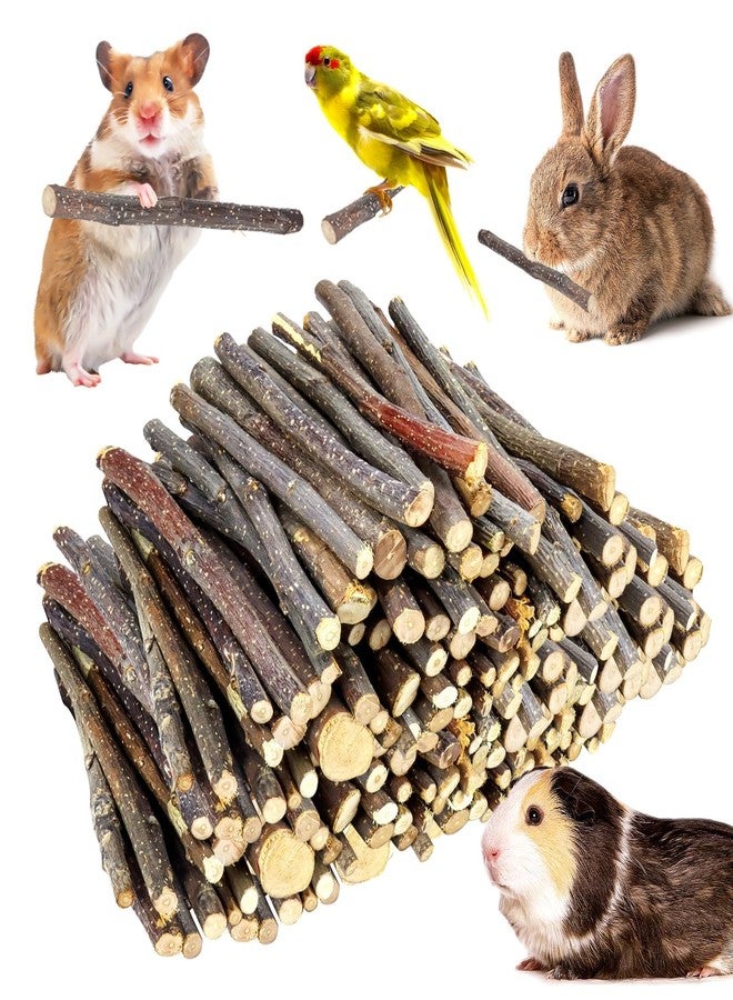 WYOMER 2lb(900g) Small Apple Sticks for Rabbits, Animals Molar Wood Treats Toys for Chinchillas Guinea Pig Hamster Gerbil Parrot Bunny and Small Animals Chew Stick Toys Treats - Image 1